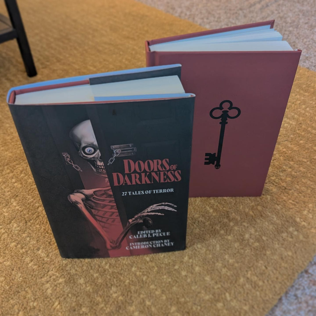 Doors of Darkness Hardcover